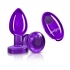 Cheeky Charms Vibrating Metal Plug - Purple Medium W/ Remote