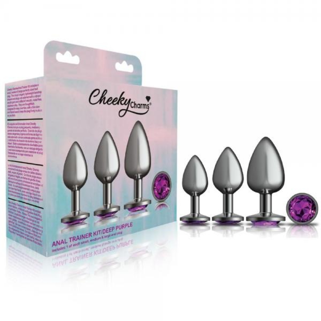 Cheeky Charms Metal Plug Kit - Gunmetal Round Deep Purple