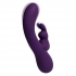 Kinky Bunny Deep Purple Rabbit Style Vibrator – 10 Functions of Delight