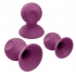 Cloud 9 Health & Wellness Nipple & Clitoral Massager Suction Set - Plum