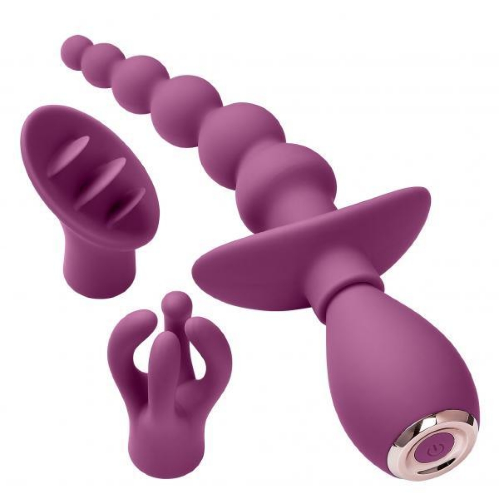 Cloud 9 Health & Wellness Anal, Clitoral & Nipple Massager Kit - Plum