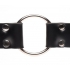 Master Series Strap & Ride Dildo Strap Harness